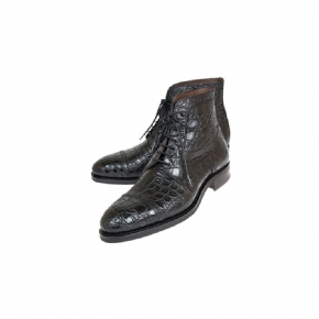 Bottines À Lacets Alligator Britannique Suave Pour Hommes