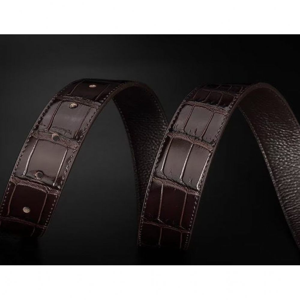 Ceintures Pour Hommes Ceinture D'affaires À Motif Géométrique - Café