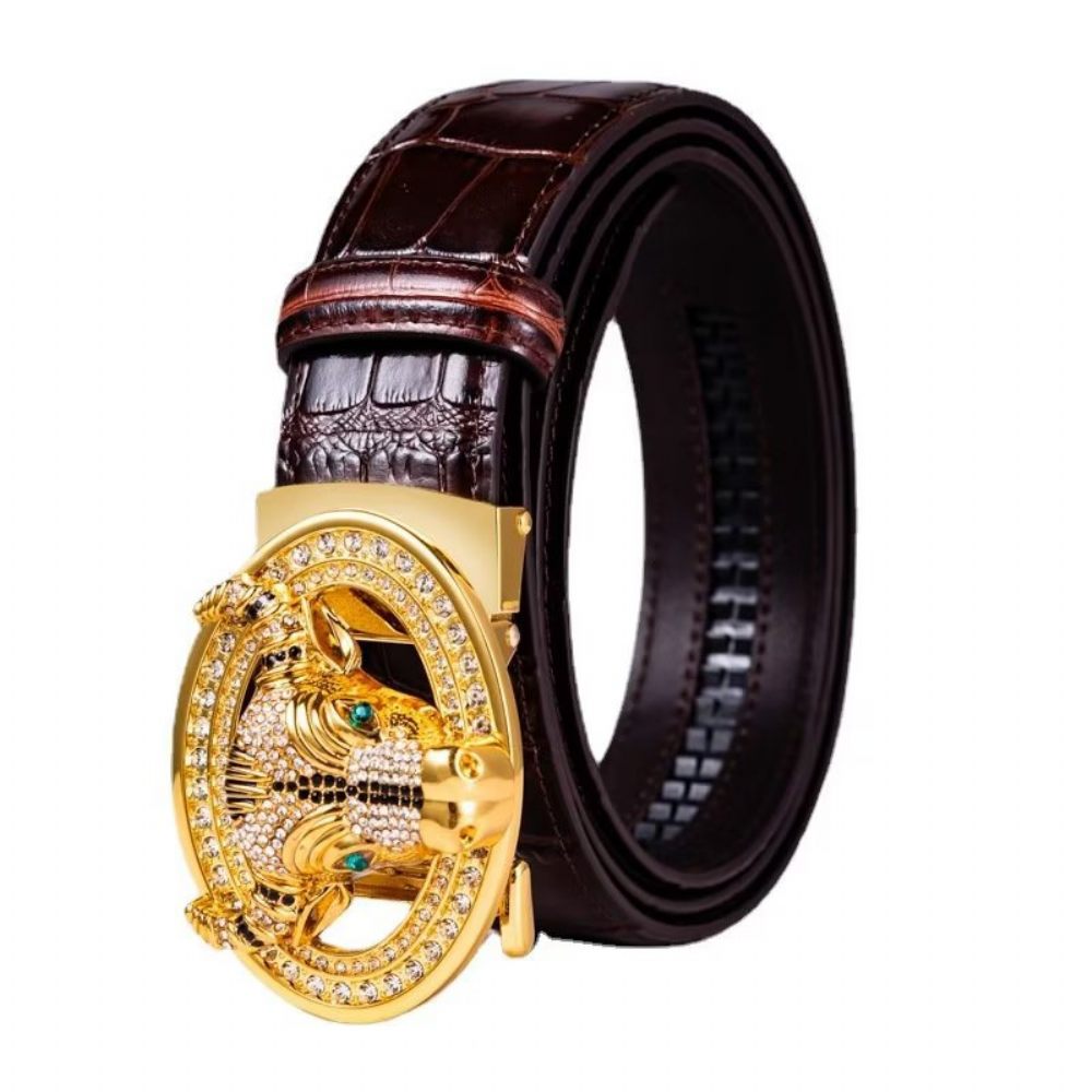 Ceintures Pour Hommes Ceinture Automatique Luxe Chic - Café