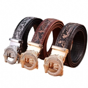 Ceintures Pour Hommes Ceinture Automatique Serpent Luxe