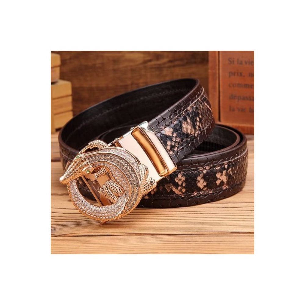 Ceintures Pour Hommes Ceinture Automatique Serpent Luxe - Café