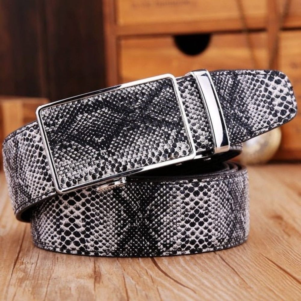 Ceintures Pour Hommes Ceinture À Boucle Métal Peau Serpent Exotique - Argent Noir