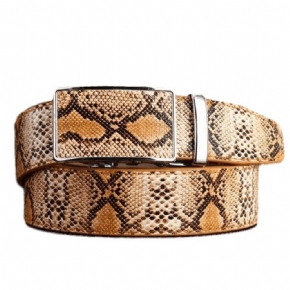 Ceintures Pour Hommes Ceinture À Boucle Métal Peau Serpent Exotique