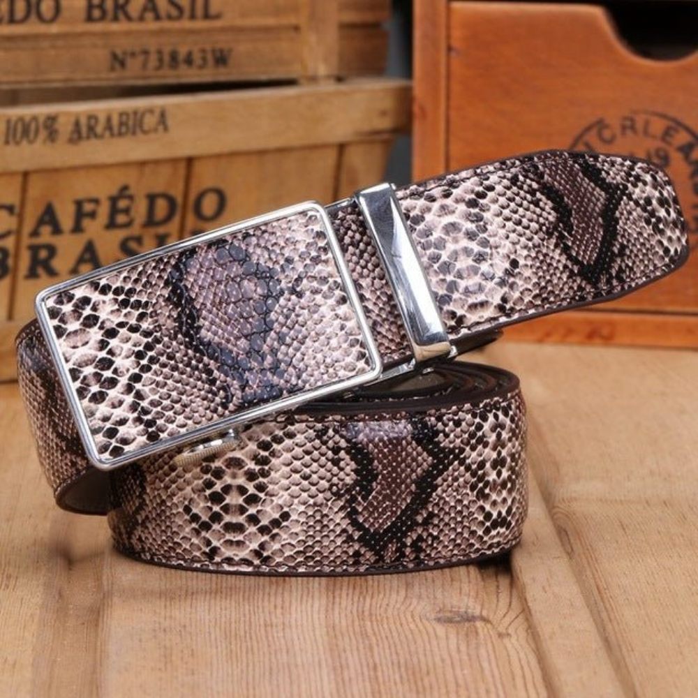 Ceintures Pour Hommes Ceinture À Boucle Métal Peau Serpent Exotique - Argent Café