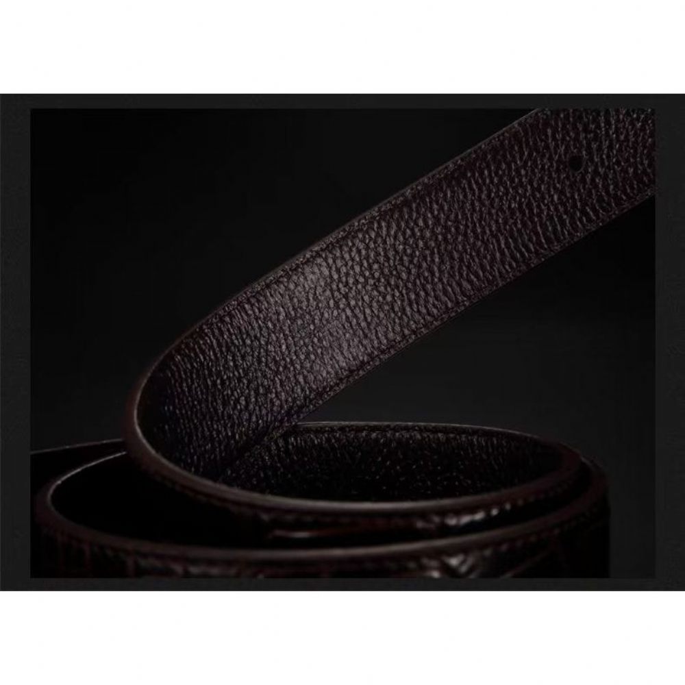 Ceintures Pour Hommes Ceinture Cuir Crocodile - Café