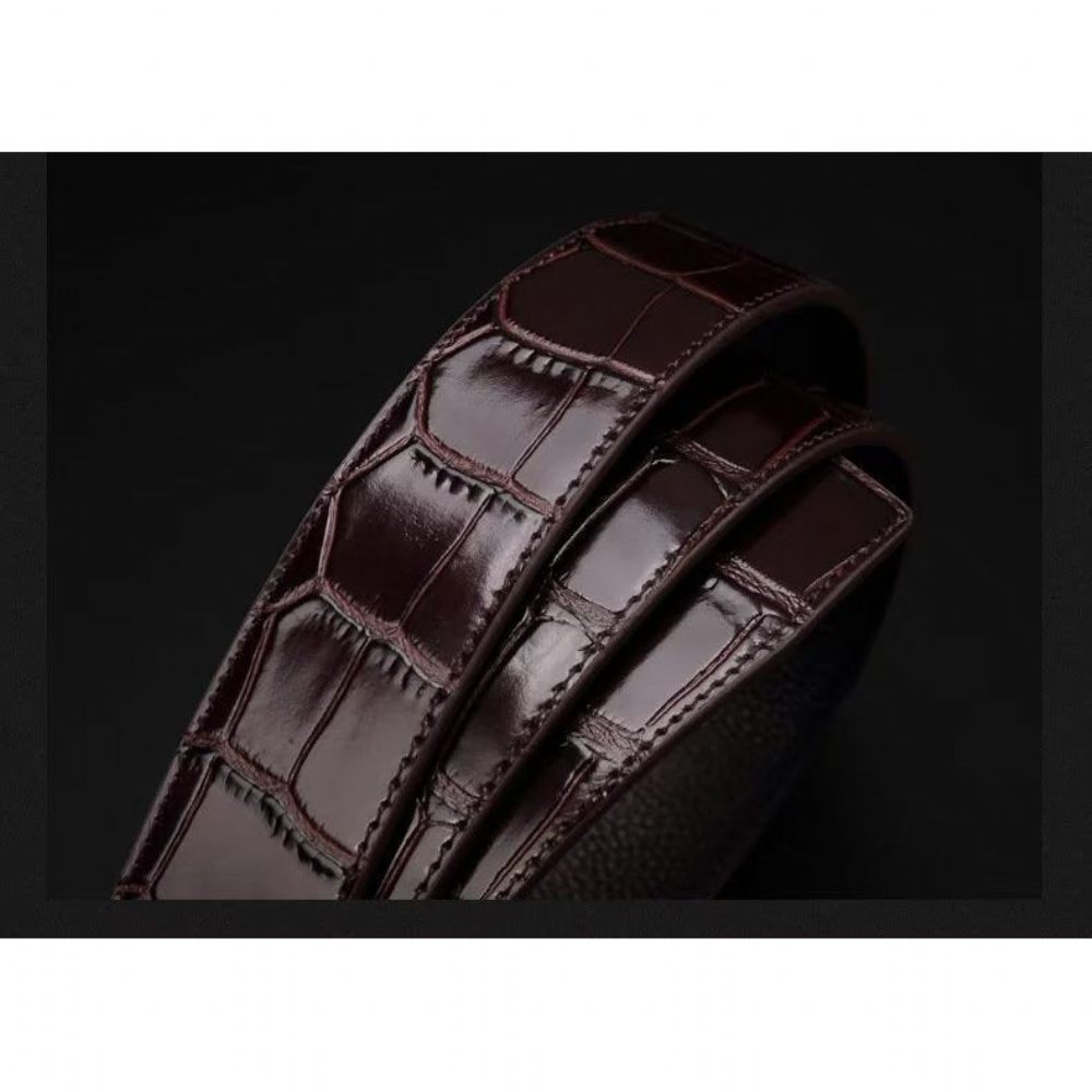 Ceintures Pour Hommes Ceinture Cuir Crocodile - Café