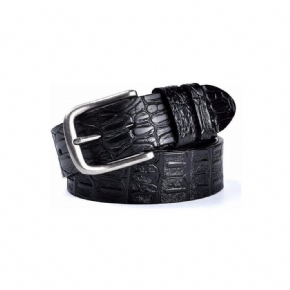 Ceintures Pour Hommes Ceinture Cuir Exotique