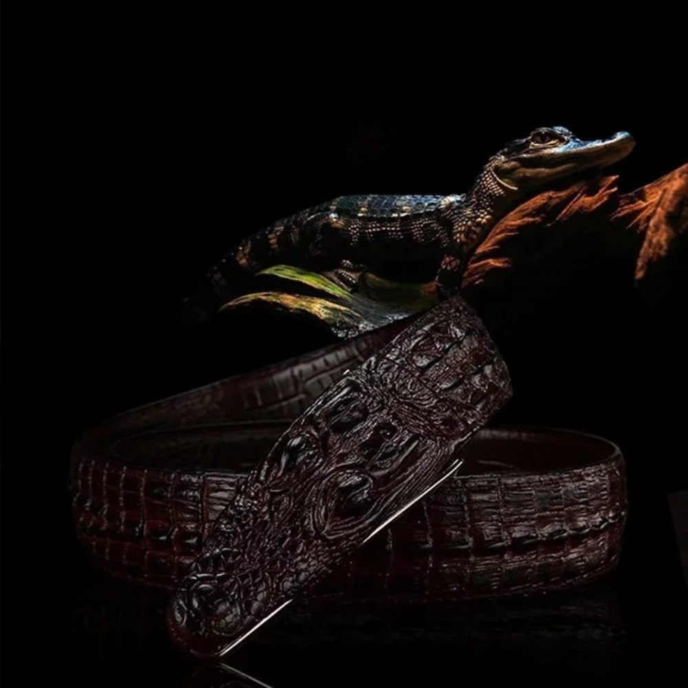 Ceintures Pour Hommes Ceinture Cuir Imprimé Alligator Exotique - Café