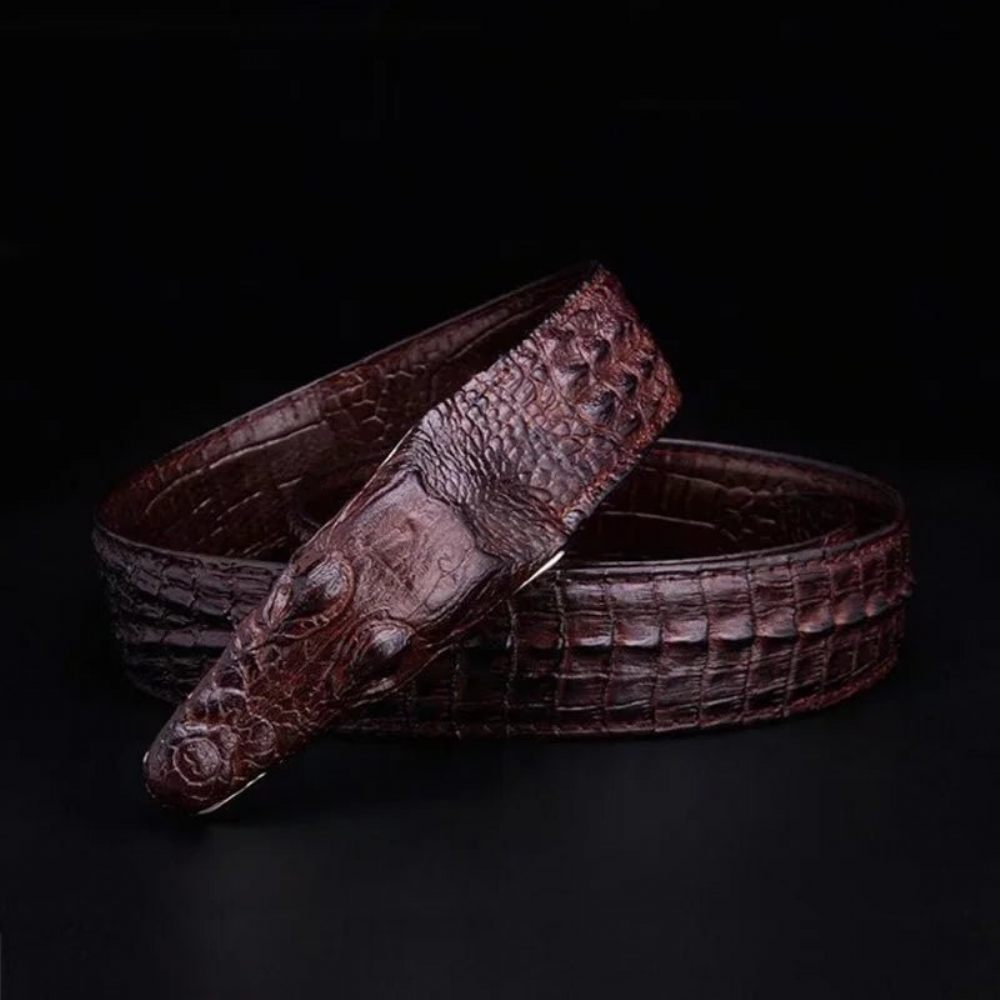 Ceintures Pour Hommes Ceinture Cuir Imprimé Alligator Exotique - Café