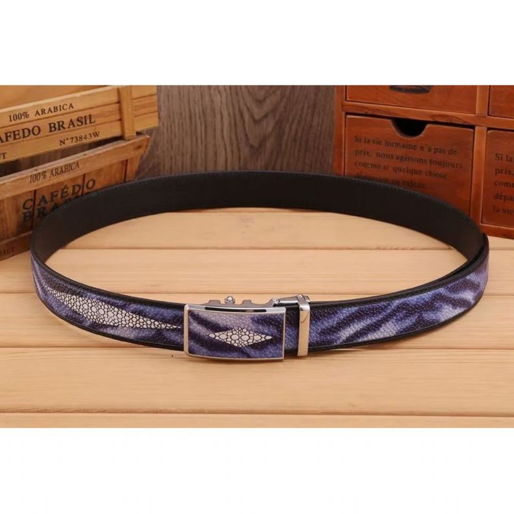 Ceintures Pour Hommes Ceinture Tendance Avant-gardiste - Bleu