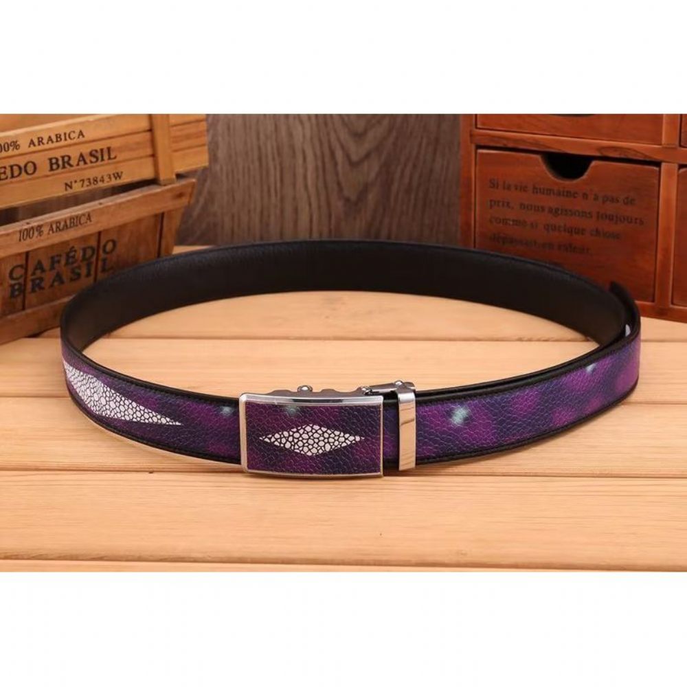 Ceintures Pour Hommes Ceinture Tendance Avant-gardiste - Violet