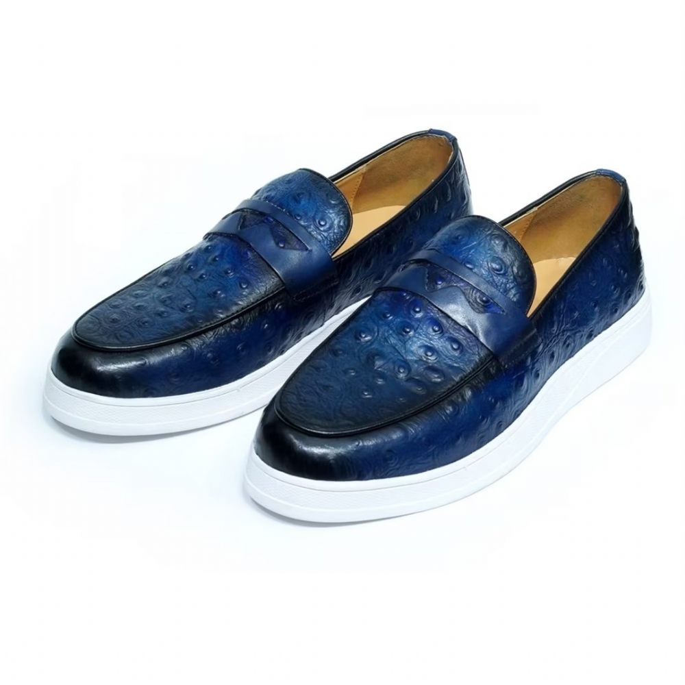 Chaussures Décontractées Pour Hommes Crocodile Casuals - Bleu