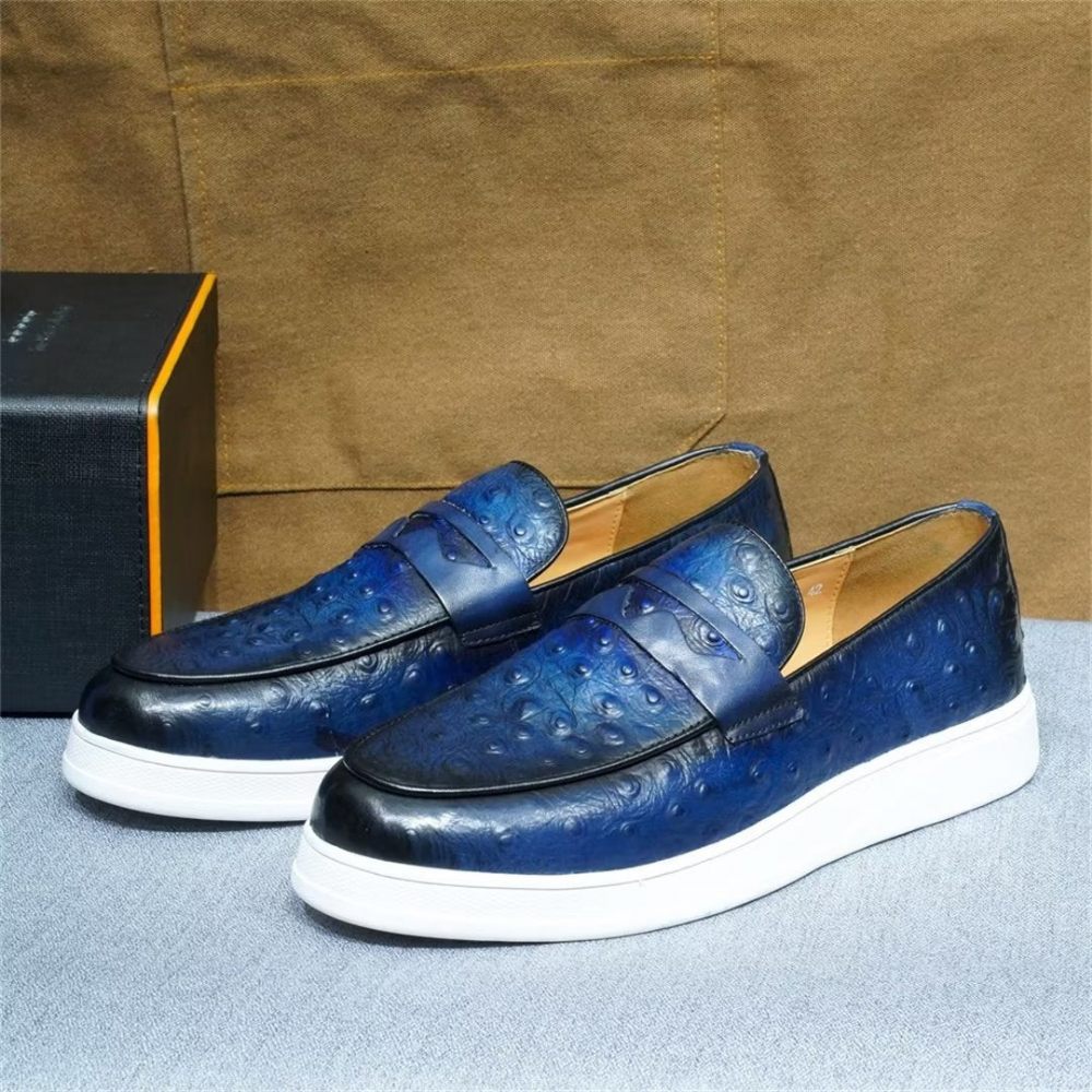 Chaussures Décontractées Pour Hommes Crocodile Casuals - Bleu