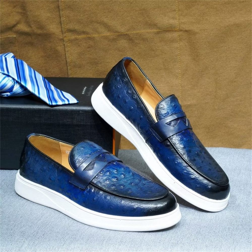 Chaussures Décontractées Pour Hommes Crocodile Casuals - Bleu