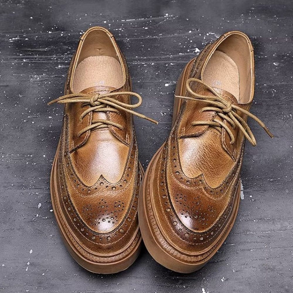 Chaussures Décontractées Pour Hommes À Lacets Cuir Luxe - Café