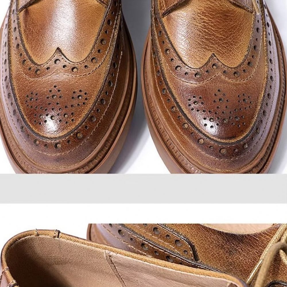 Chaussures Décontractées Pour Hommes À Lacets Cuir Luxe - Café