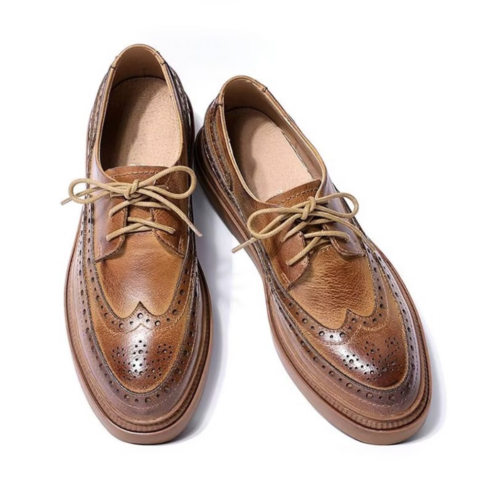 Chaussures Décontractées Pour Hommes À Lacets Cuir Luxe - Café