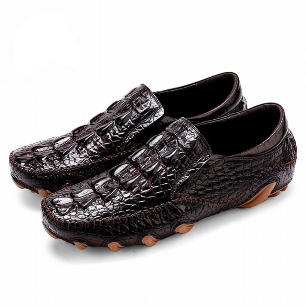 Chaussures Décontractées Pour Hommes Oxford Luxe À Texture Alligator Enfiler - Café