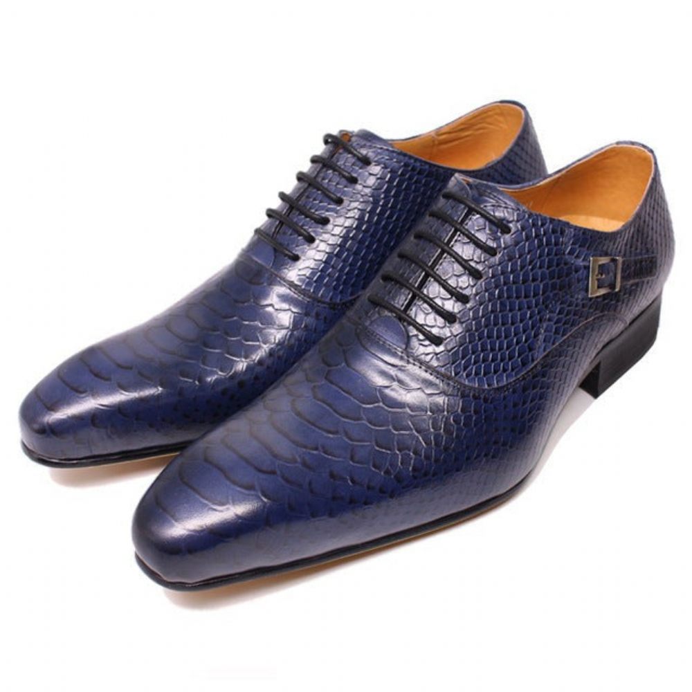 Chaussures Formelles Pour Hommes D'affaires Oxford Exécutif - Bleu