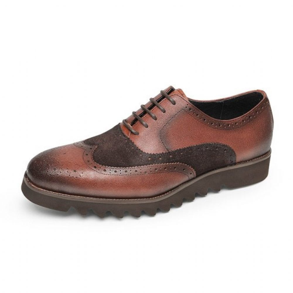 Chaussures Formelles Pour Hommes Alligator Luxury Wingtip Brogue Décontractées - Café