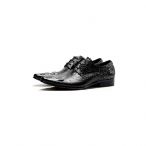 Chaussures Formelles Pour Hommes Bout Pointu Texture Alligator Habillées Richelieu