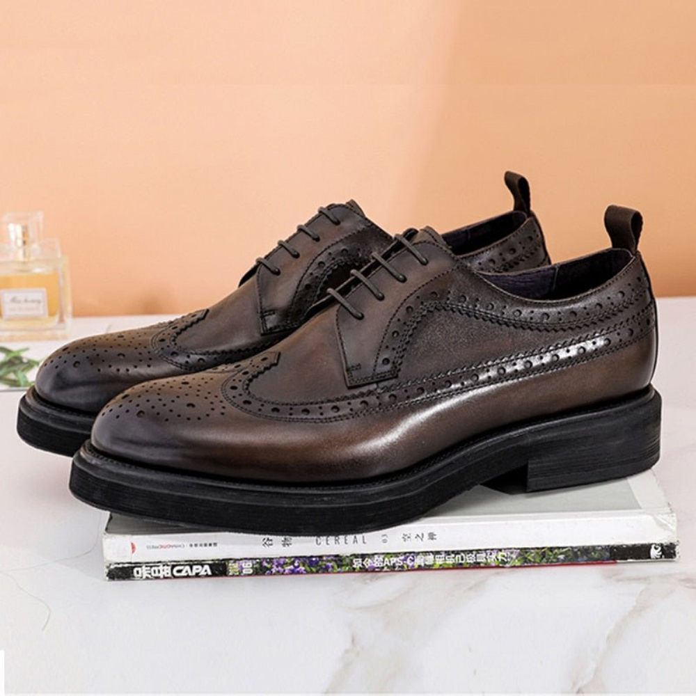 Chaussures Formelles Pour Hommes Brogues À Lacets Cuir Véritable - Café