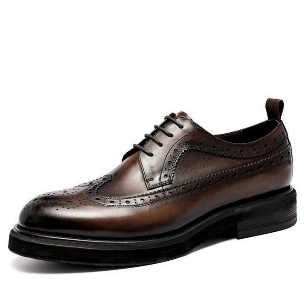 Chaussures Formelles Pour Hommes Brogues À Lacets Cuir Véritable - Café