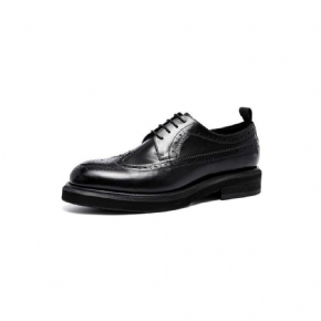 Chaussures Formelles Pour Hommes Brogues À Lacets Cuir Véritable