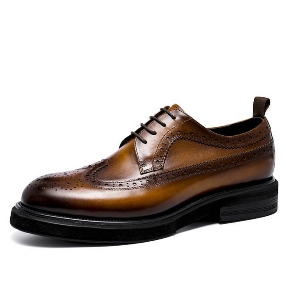 Chaussures Formelles Pour Hommes Brogues À Lacets Cuir Véritable - Marron