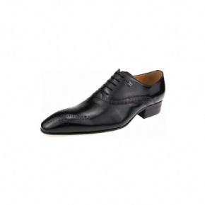 Chaussures Formelles Pour Hommes Brogues Mariage À La Mode