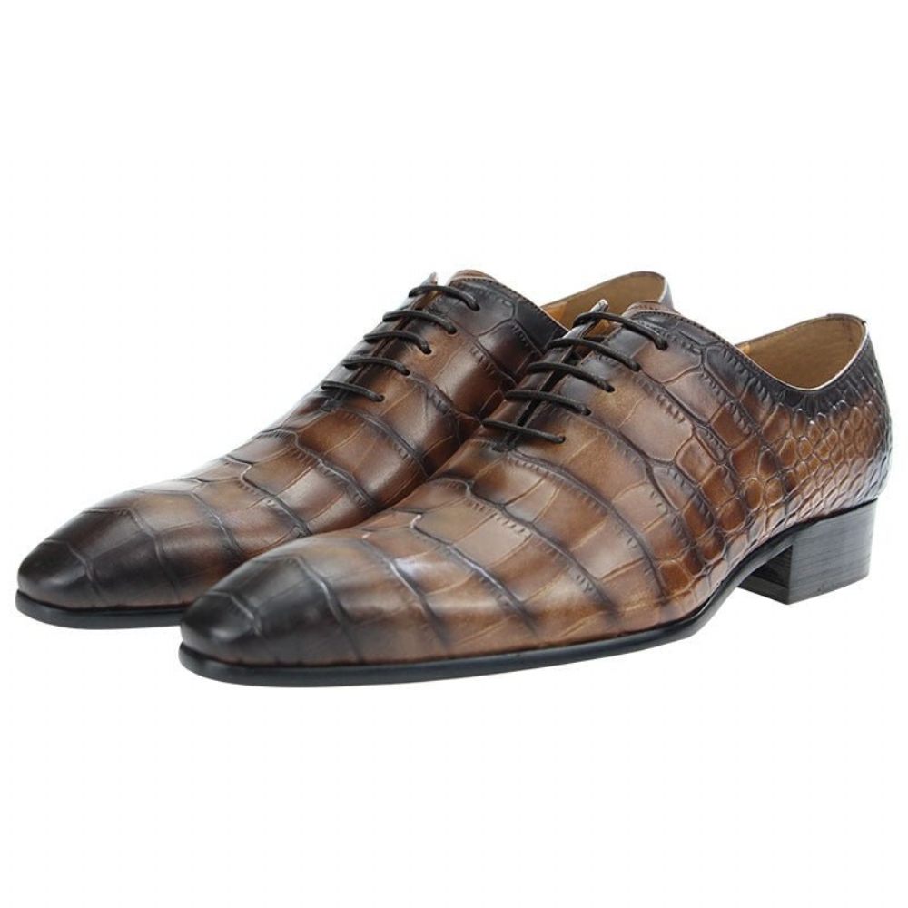 Chaussures Formelles Pour Hommes Chic Crocprint Bout Pointu Oxford Habillées - Café