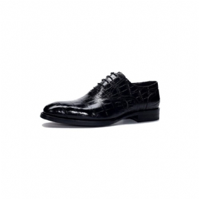 Chaussures Formelles Pour Hommes Crocdress Oxford Luxe À Motif Crocodile