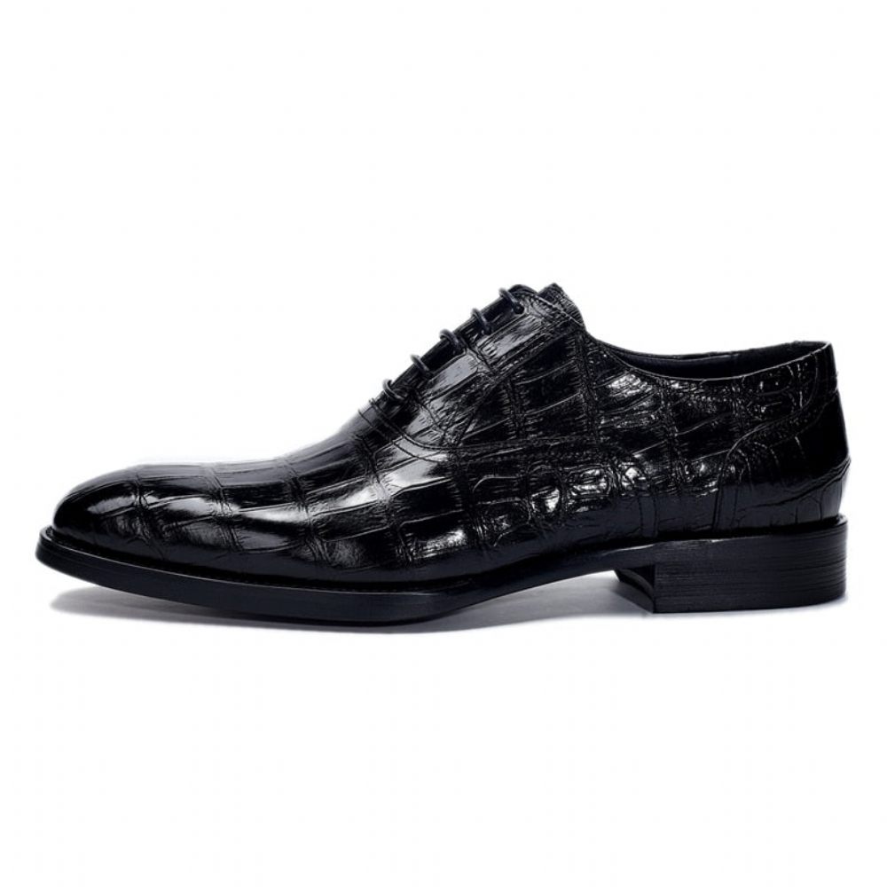 Chaussures Formelles Pour Hommes Crocdress Oxford Luxe À Motif Crocodile - Noir