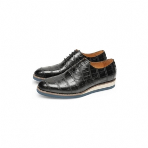 Chaussures Formelles Pour Hommes Cuir Alligator Plate-forme Habillées Richelieu