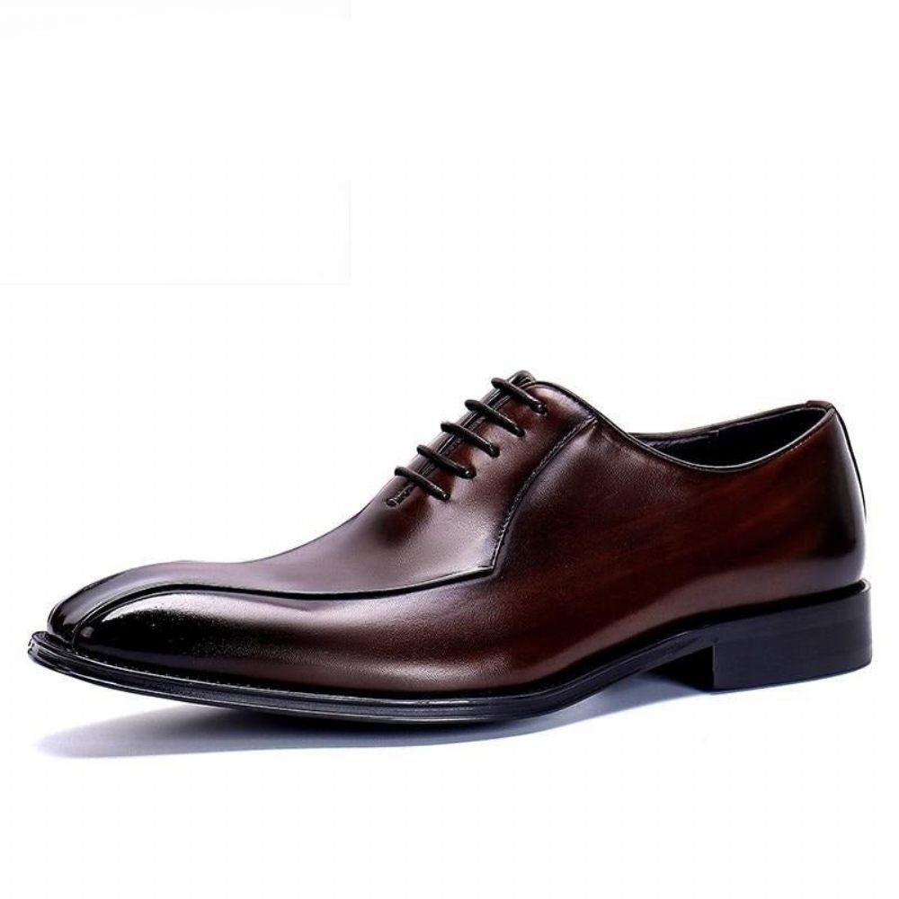 Chaussures Formelles Pour Hommes Cuir Exotique À Lacets Richelieus Mariage - Café