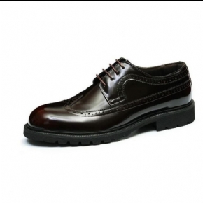 Chaussures Formelles Pour Hommes Cuir Vache Habillées Oxford Brillantes