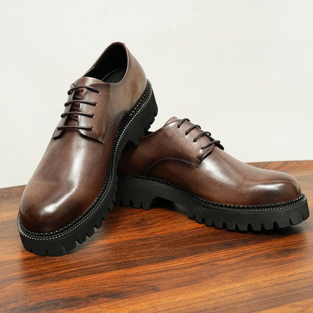 Chaussures Formelles Pour Hommes Cuir Vache À Lacets Richelieu - Café