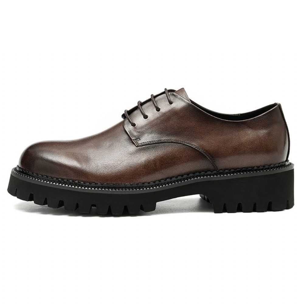 Chaussures Formelles Pour Hommes Cuir Vache À Lacets Richelieu - Café