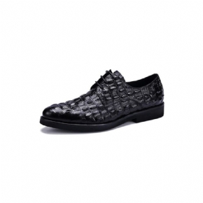 Chaussures Formelles Pour Hommes Décontractées À Lacets Oxford Cuir Crocodile Opulent