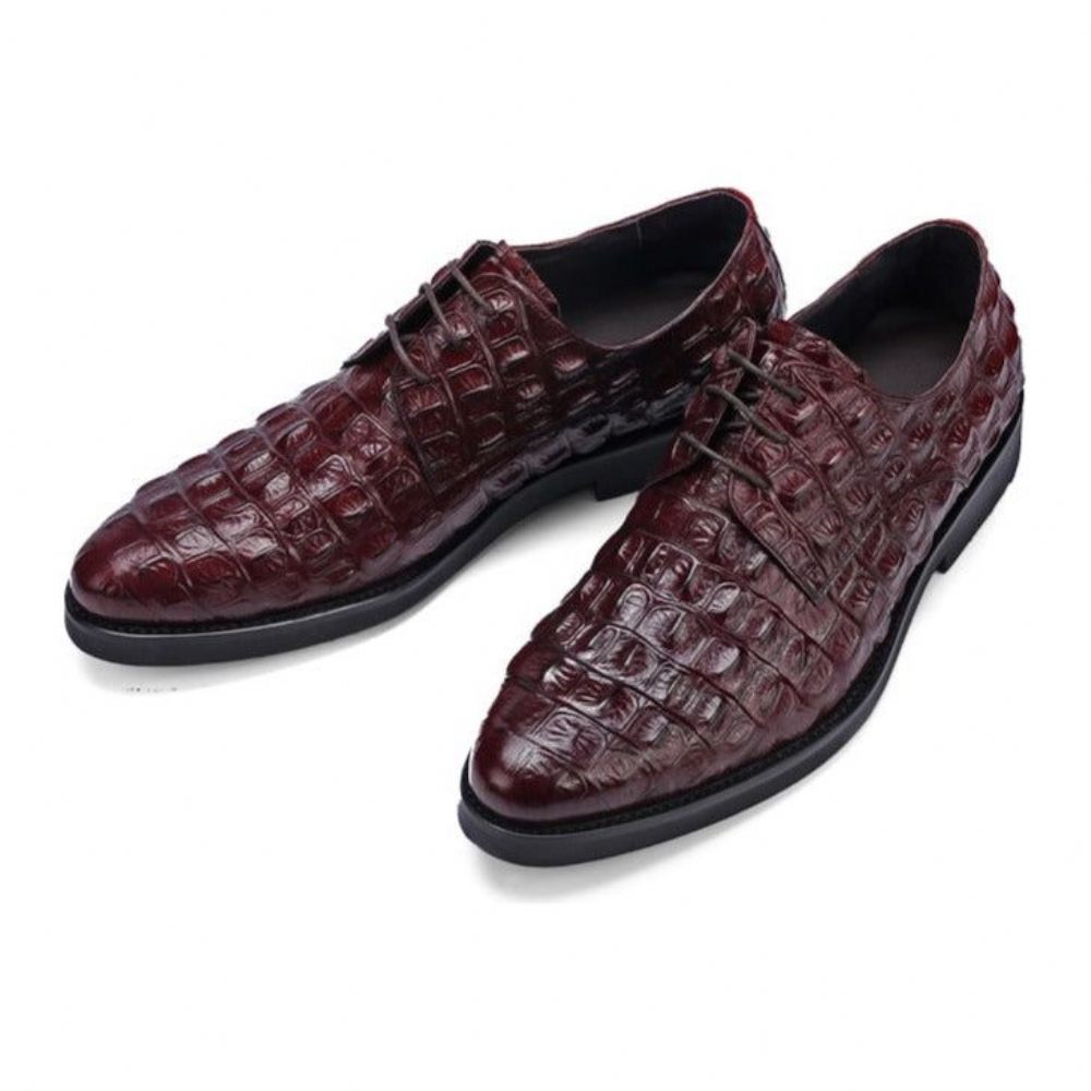 Chaussures Formelles Pour Hommes Décontractées À Lacets Oxford Cuir Crocodile Opulent - Rouge