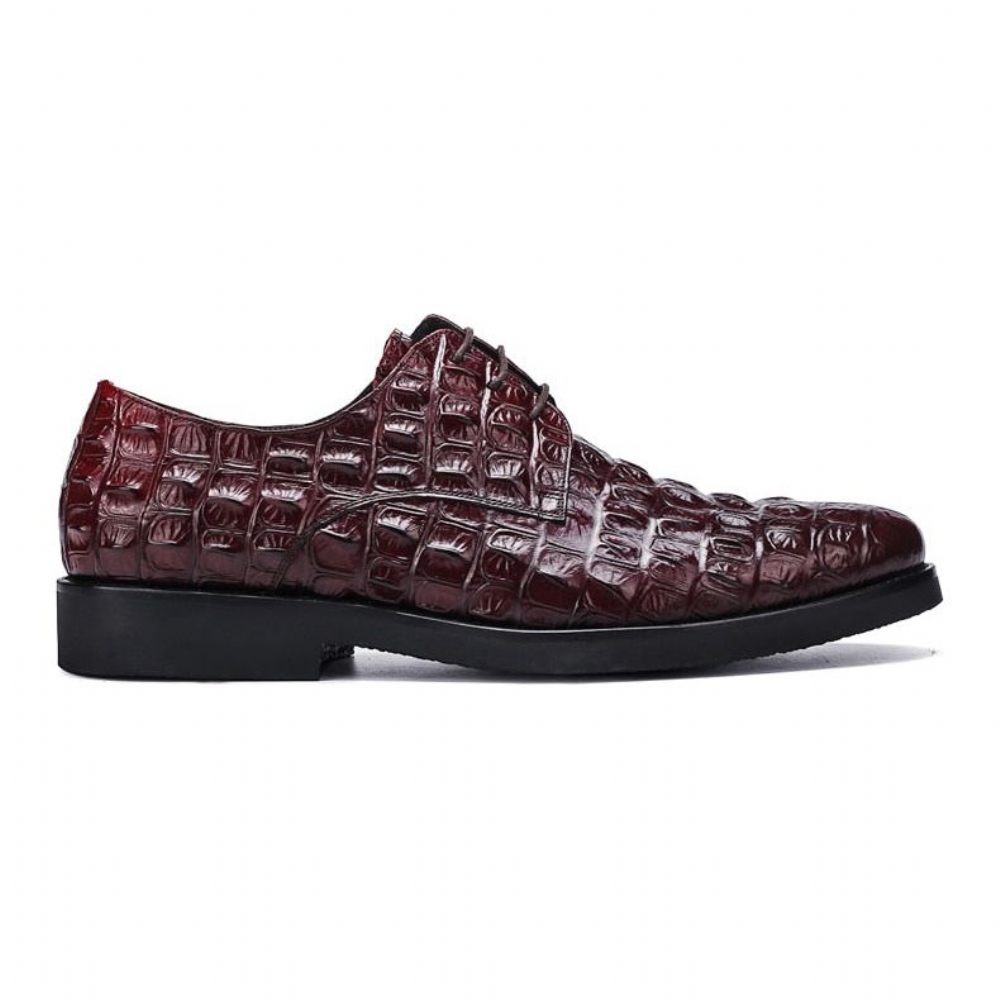 Chaussures Formelles Pour Hommes Décontractées À Lacets Oxford Cuir Crocodile Opulent - Rouge