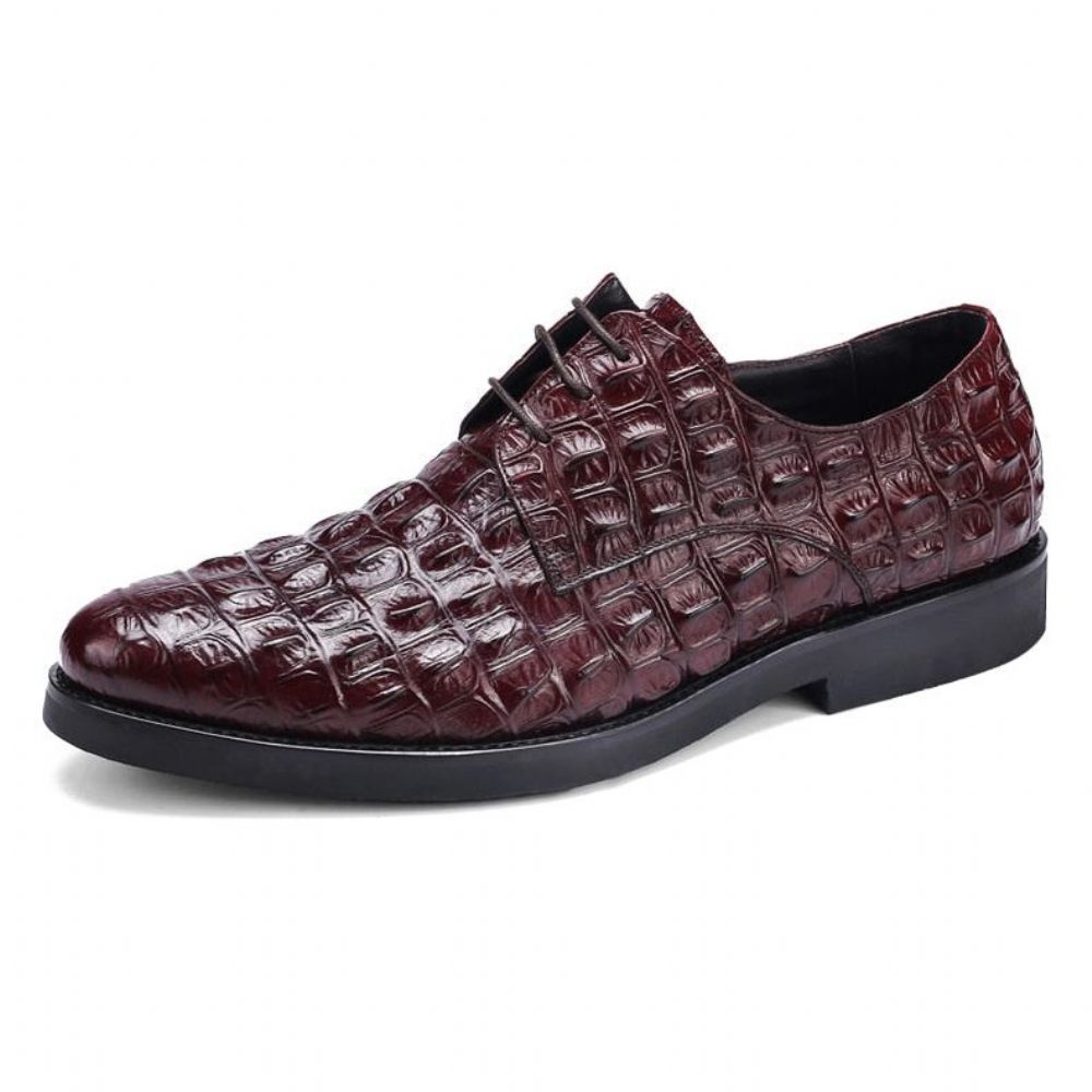 Chaussures Formelles Pour Hommes Décontractées À Lacets Oxford Cuir Crocodile Opulent - Rouge