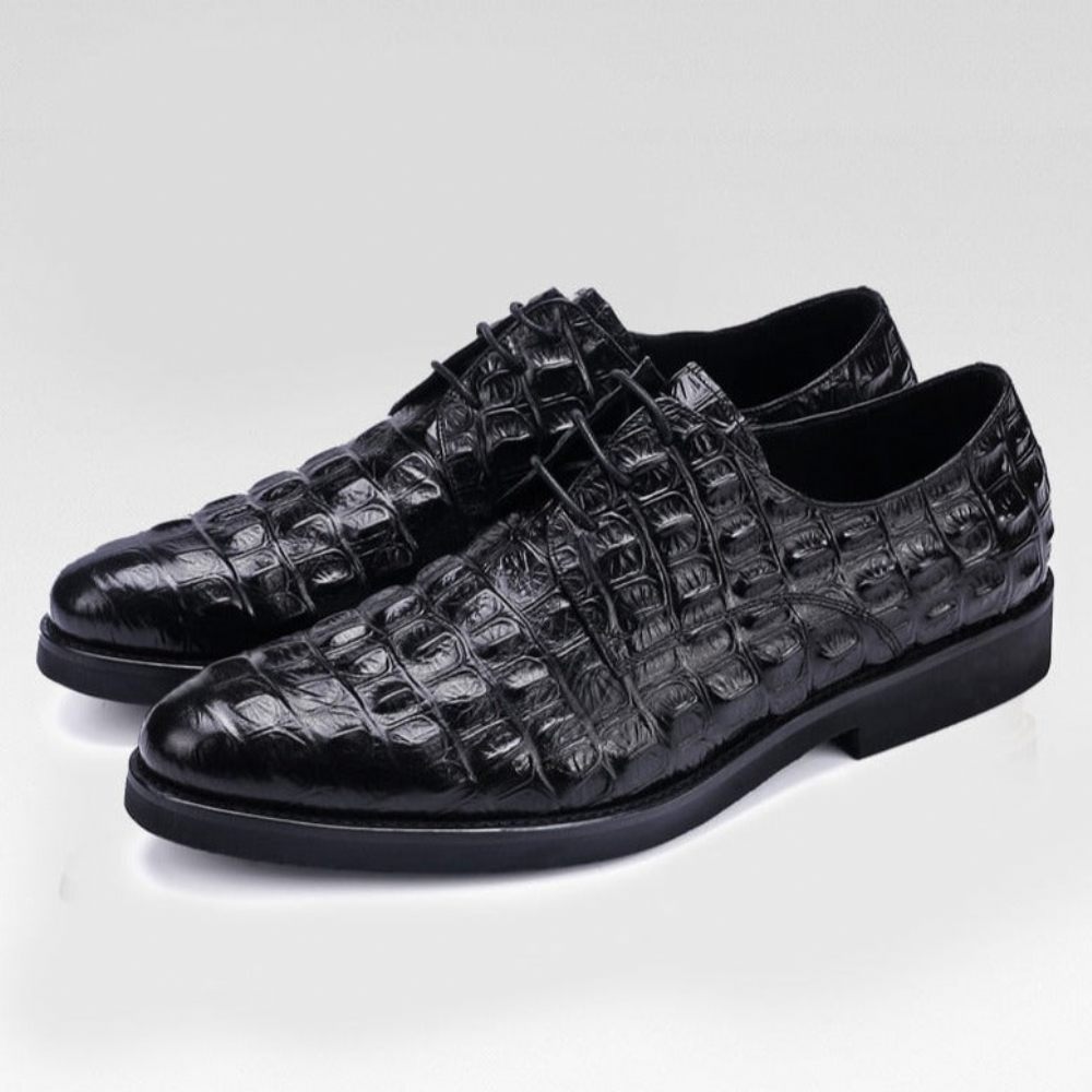 Chaussures Formelles Pour Hommes Décontractées À Lacets Oxford Cuir Crocodile Opulent - Noir