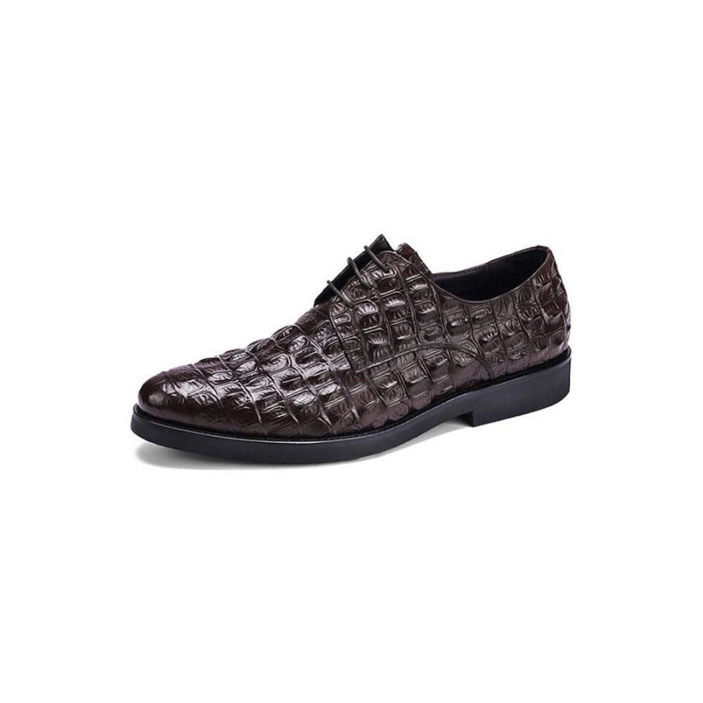 Chaussures Formelles Pour Hommes Décontractées À Lacets Oxford Cuir Crocodile Opulent - Café