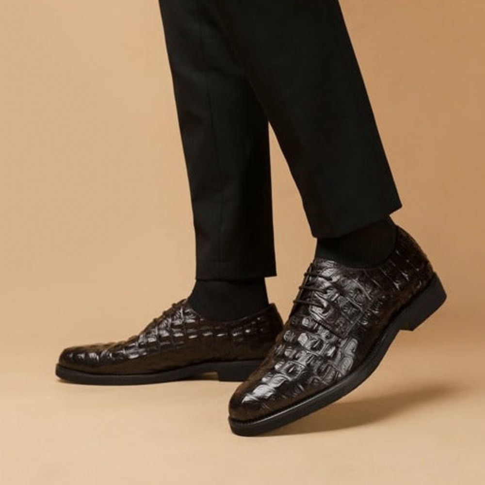 Chaussures Formelles Pour Hommes Décontractées À Lacets Oxford Cuir Crocodile Opulent - Café