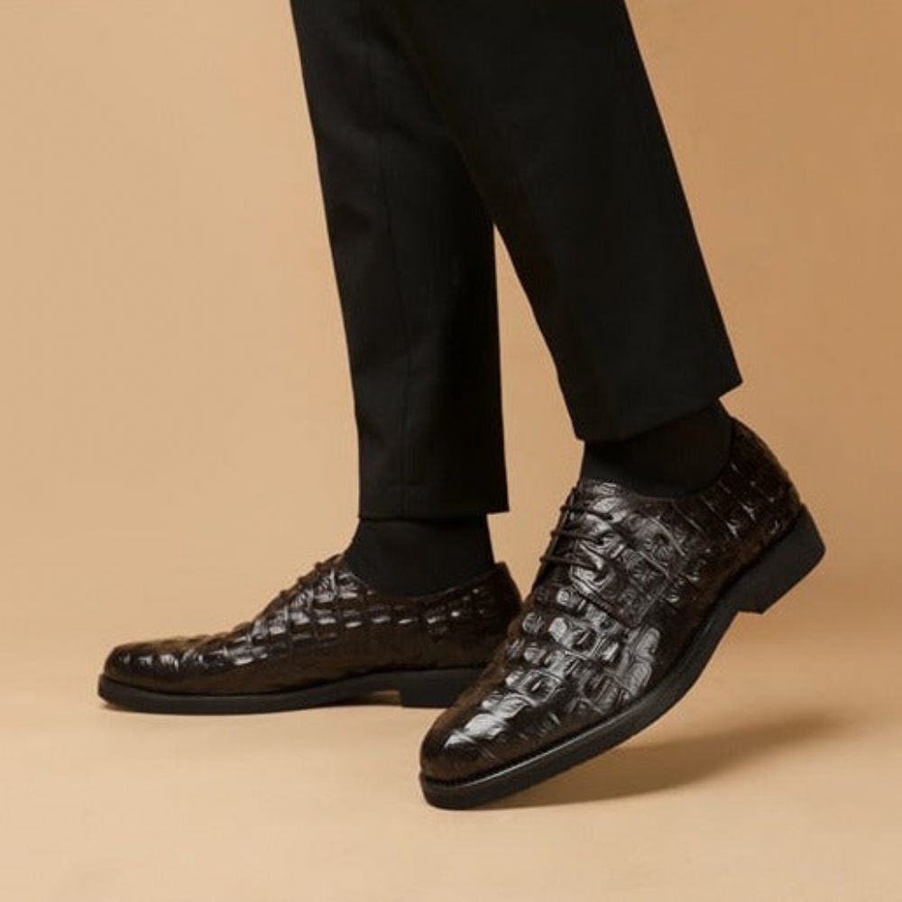 Chaussures Formelles Pour Hommes Décontractées À Lacets Oxford Cuir Crocodile Opulent - Café