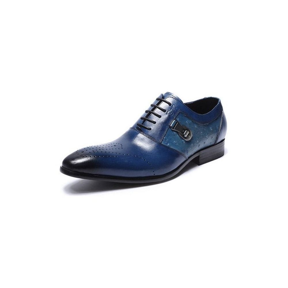 Chaussures Formelles Pour Hommes Décontractées Oxford Brogue À Lacets Exotiques - Bleu