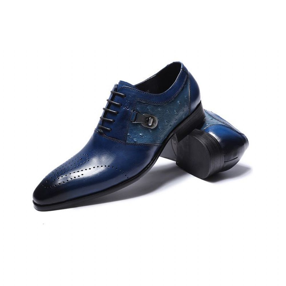 Chaussures Formelles Pour Hommes Décontractées Oxford Brogue À Lacets Exotiques - Bleu