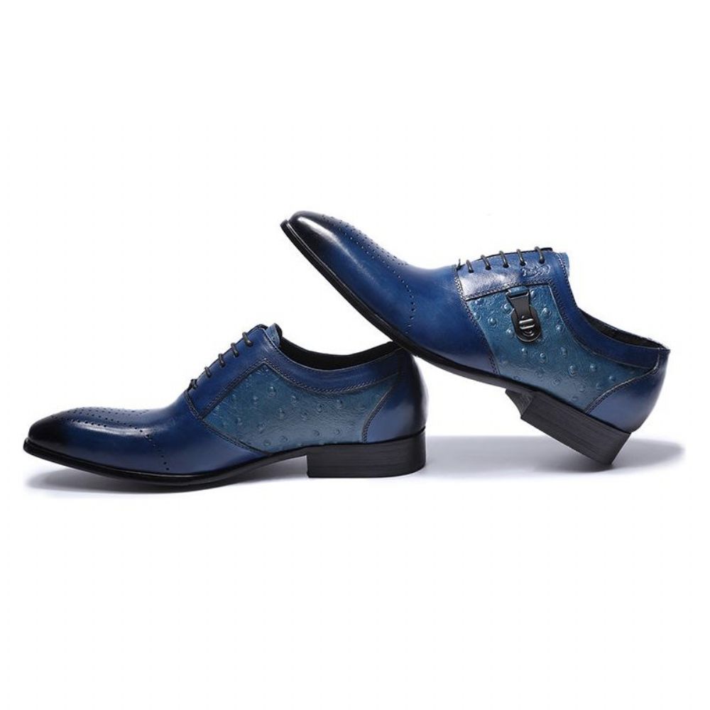 Chaussures Formelles Pour Hommes Décontractées Oxford Brogue À Lacets Exotiques - Bleu