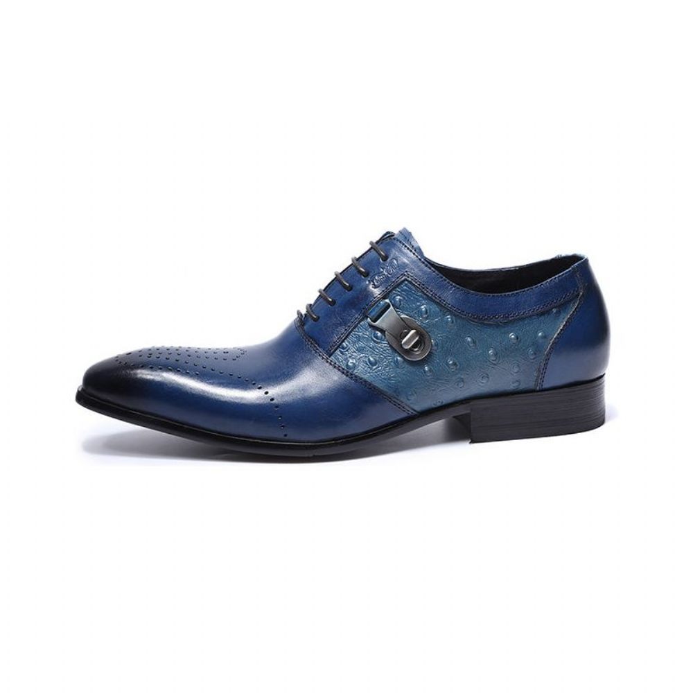 Chaussures Formelles Pour Hommes Décontractées Oxford Brogue À Lacets Exotiques - Bleu